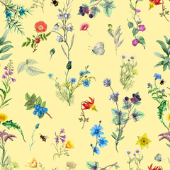 Botanical floral pattern of watercolor wildflowers and forest plants