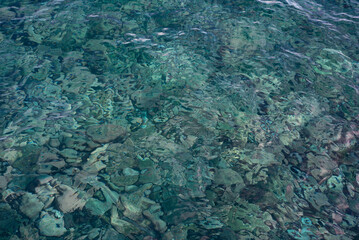 Fototapeta premium The seabed through the transparent water column. Overflows and reflection of sunlight.