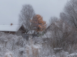 The beginning of winter in the Russian village. Vepsian Forest
