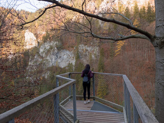 A view of the autumn forest in the Kvacianska dolina national park in Slovakia © Peter