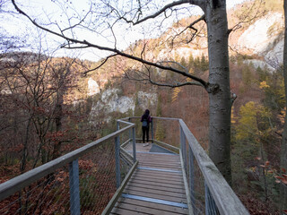 A view of the autumn forest in the Kvacianska dolina national park in Slovakia © Peter