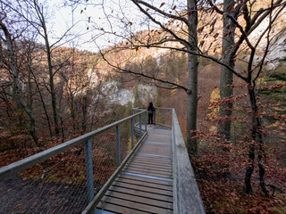 A view of the autumn forest in the Kvacianska dolina national park in Slovakia © Peter