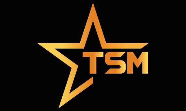TSM golden luxury star icon three letter logo design vector template. royal logo | luxury logo | jewelry logo | premium logo | iconic logo | Victoria logo |