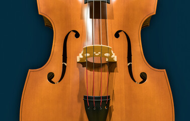 Part of new wooden contrabass with professional strings