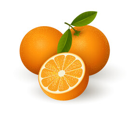 Realistic orange fruits