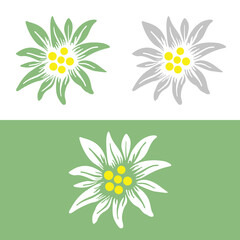 edelweiss flower symbol alpinism alps germany logo - 550627976