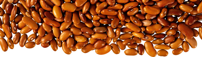 Beans isolated legume proteins vegetable fat-free ingredient