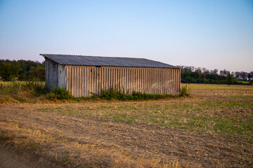Fototapeta na wymiar old overgrown barn overgrown with plants