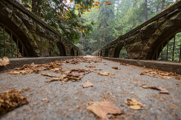 bridge in autumn