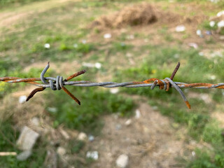 barbed wire fence