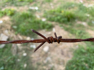 rusty barbed wire