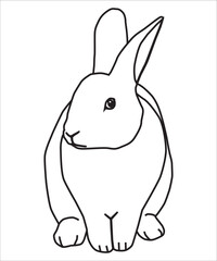 rabbit cartoon vector
