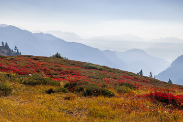 autumn in the mountains