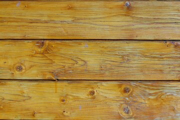 Obraz premium Background, texture of pine boards covered with yellow varnish