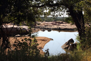 Afrikanischer Busch - Krügerpark - Red Rocks / African Bush - Kruger Park - Red Rocks /