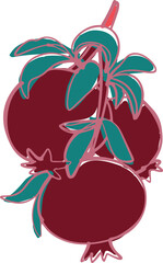 Vector illustration of a bright red pomegranate fruit half a pomegranat with red seeds white background.
