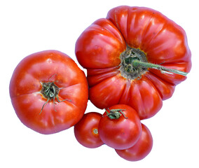 Tomatoes isolated on white background. Transparent  background.