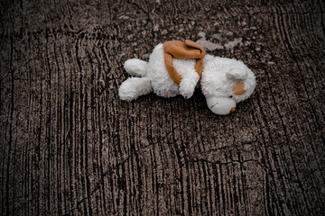 lonely teddy bear sleep on cement floor for created postcard  of international missing children,...
