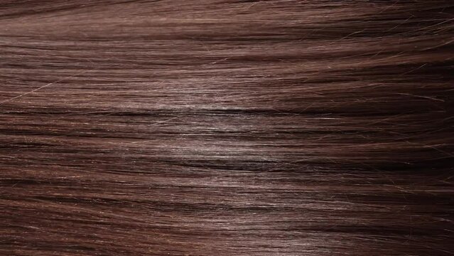Healthy female long brown hair