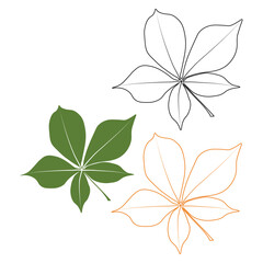 Set of vector chestnut leaf outline and coloured icon. Simple chestnut leaves illustration for logo. Realistic hand drawn leaves illustration set on white background.