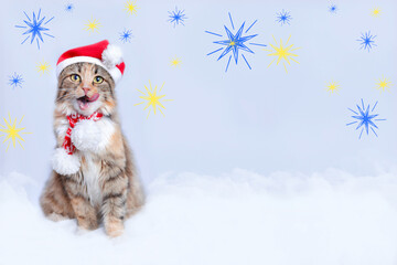 Kitten rests on white cloud. Cat 
in Santa costume. Cat looks at the camera. Kitten on a white background. Happy New Year. Merry Christmas. Web banner copy space. Yellow blue stars. Ukrainian symbols