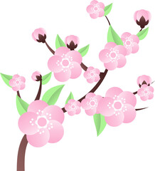 peach blossom illustration