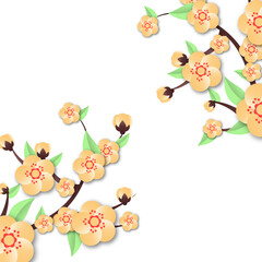 peach blossom illustration