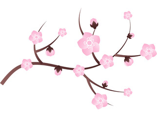 peach blossom illustration