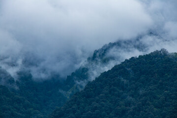 Foggy and Moody Green Forest of Bajhang Bajura Nepal