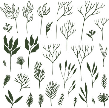 Collection of  winter themed botanical elements. Leaves and branches silhouettes PNG illustration.