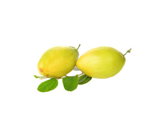 monkey apple on transparent png