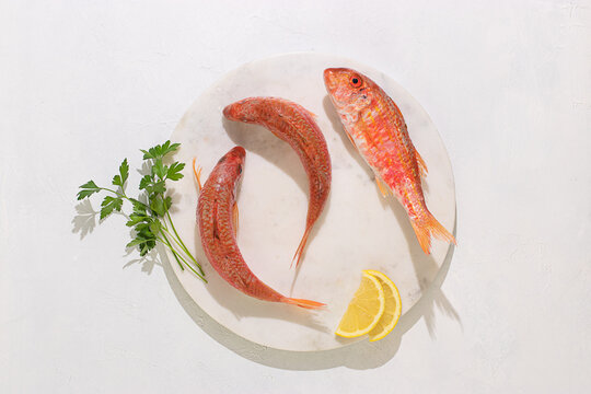 Raw Fish In Plate On White Background