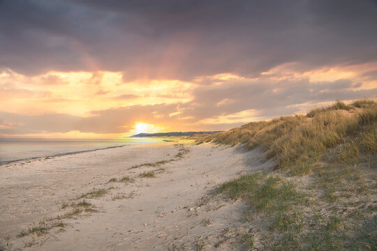 Beach crossing in Denmark by the sea. Dunes, sand water and clouds on the coast. © Martin