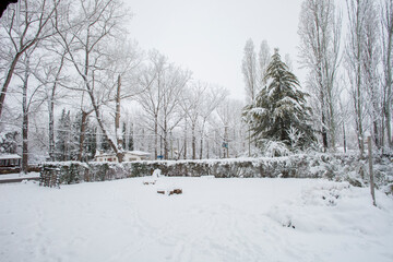 Mendoza 2022, invierno, paisajes, nieve, argentina, mendoza 