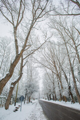 Mendoza 2022, invierno, paisajes, nieve, argentina, mendoza 