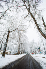 Mendoza 2022, invierno, paisajes, nieve, argentina, mendoza 