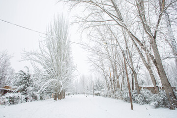 Mendoza 2022, invierno, paisajes, nieve, argentina, mendoza 
