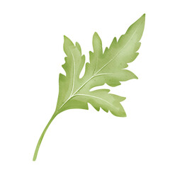 Green leaves watercolor