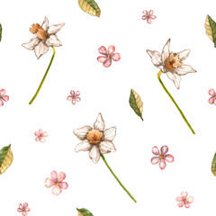 Seamless pattern with watercolor narcissus flowers, cherry blossoms and leaves. Hand drawn illustration is isolated on white. Floral ornament is perfect for fabric textile, wallpaper print, background