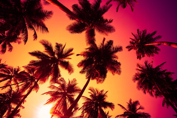 Fototapeta na wymiar Warm sunset sun shining through coconut palms trees with colorful sky