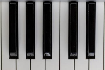 Black and white piano keys octave