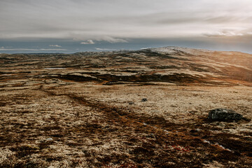 Fototapeta premium dark moody northern landscape, path from a mountain Rogne in Norway