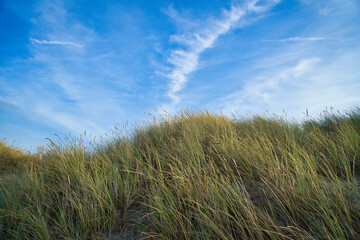 Fototapeta premium Beach crossing in Denmark by the sea. Dunes, sand water and clouds on the coast