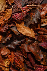 Fototapeta na wymiar dark moody faded brown autumn leaf background, fall decay