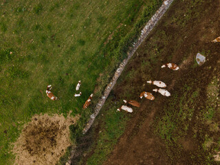 4k aerial views of meadows and dry land