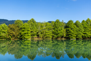 Fototapeta premium Beautiful lake with green tree reflection in Hualien County of Taiwan