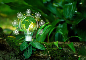 Renewable Energy. Environmental technology. Sustainable development goals.Environmental protection, sustainable energy sources.Energy saving light bulb. 