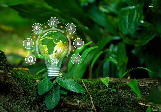 Renewable Energy. Environmental Technology. Sustainable Development Goals.Environmental Protection, Sustainable Energy Sources.Energy Saving Light Bulb. 