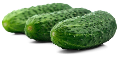 Green fresh ripe cucumbers vegetable collection