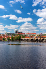 Fototapeta premium Scenic view of the Old Town pier architecture and Charles Bridge over Vltava river in Prague, Czech Republic. Prague iconic Charles Bridge (Karluv Most) and Old Town Bridge Tower at sunset, Czechia.